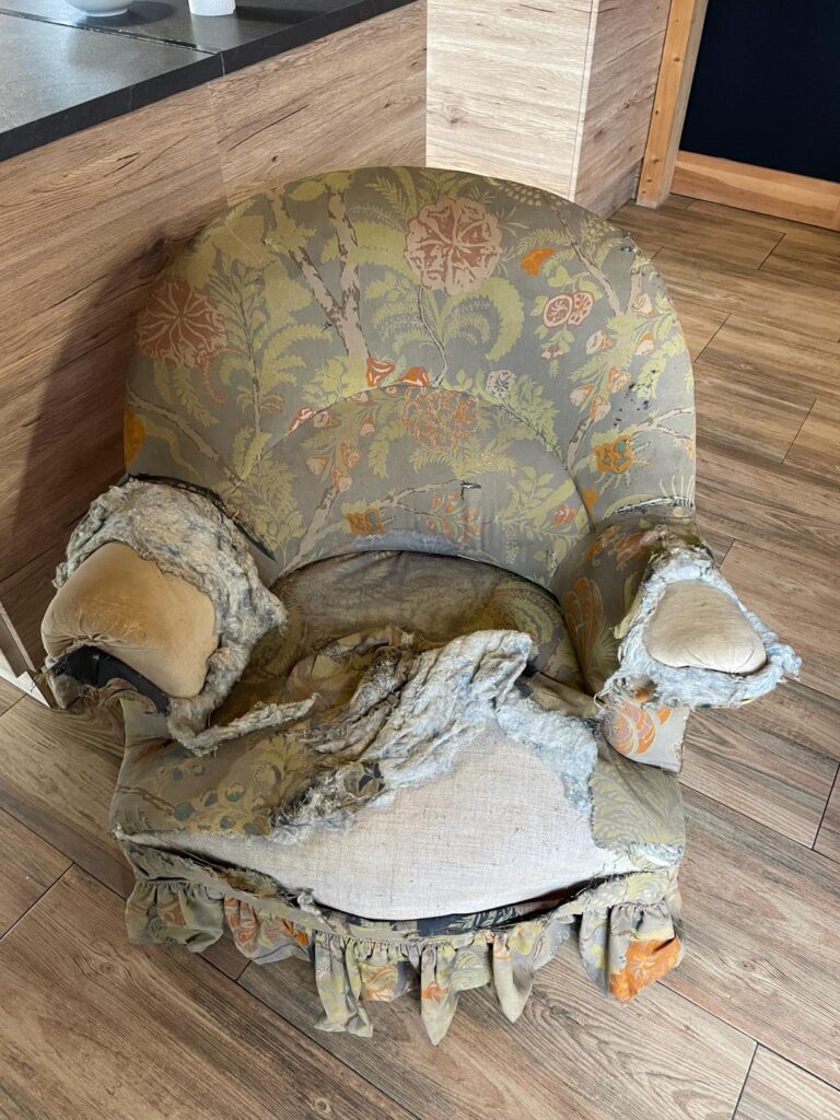 renovation fauteuil avant